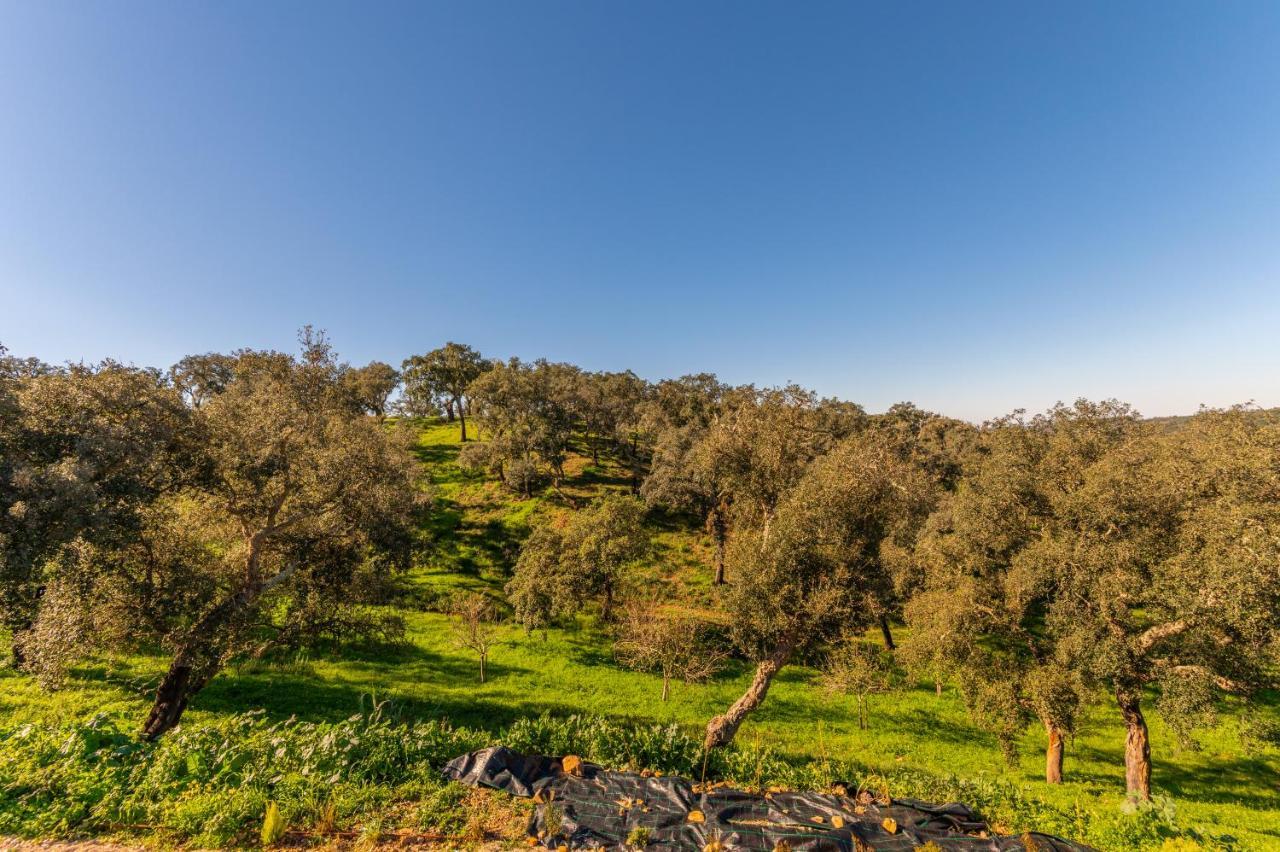 Sierra Melides Villa,Alentejo, Br2 With Private Pool, Br3 With Private Pool - Near Beach Sao Francisco da Serra Luaran gambar