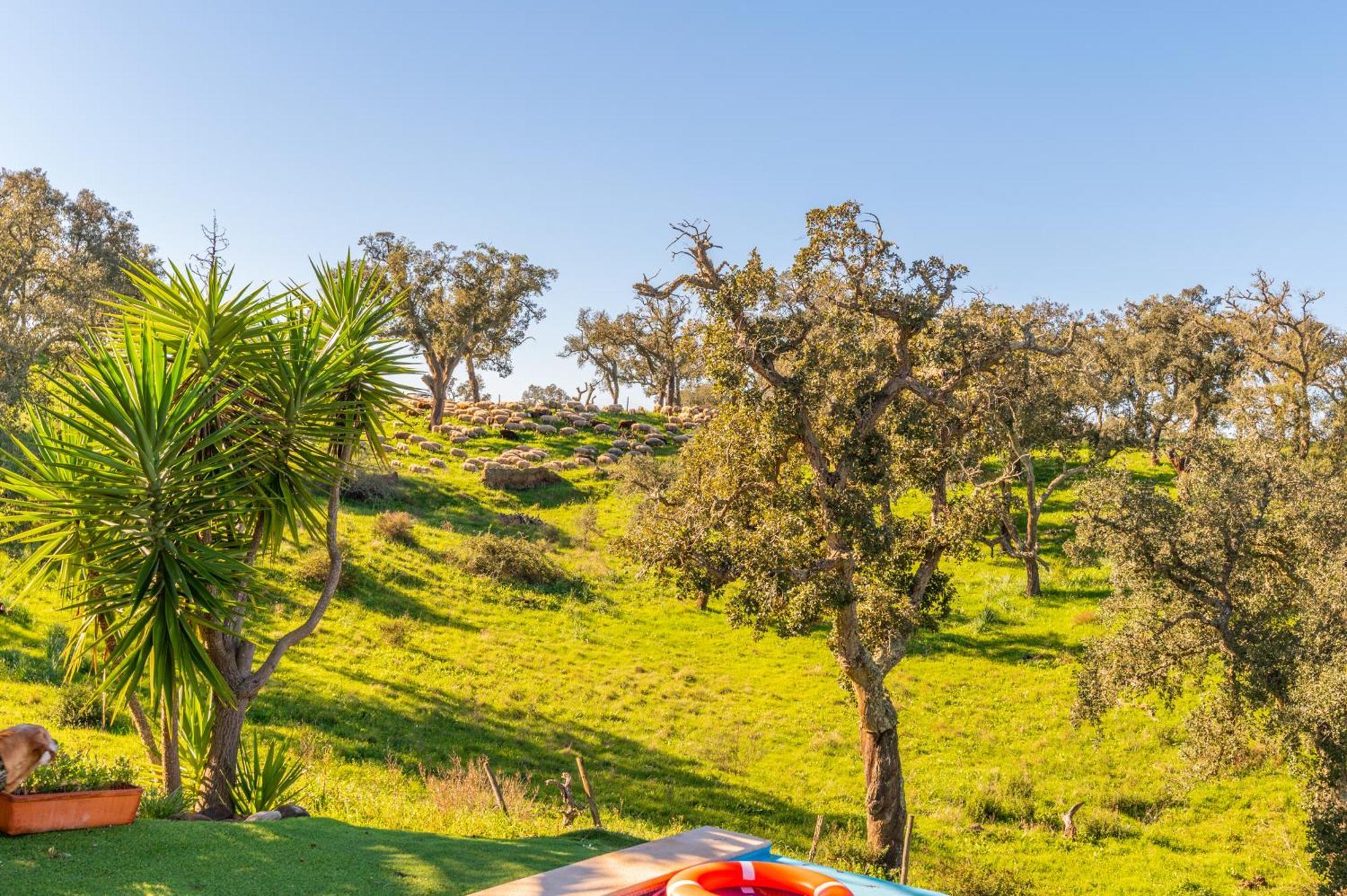 Sierra Melides Villa,Alentejo, Br2 With Private Pool, Br3 With Private Pool - Near Beach Sao Francisco da Serra Bilik gambar